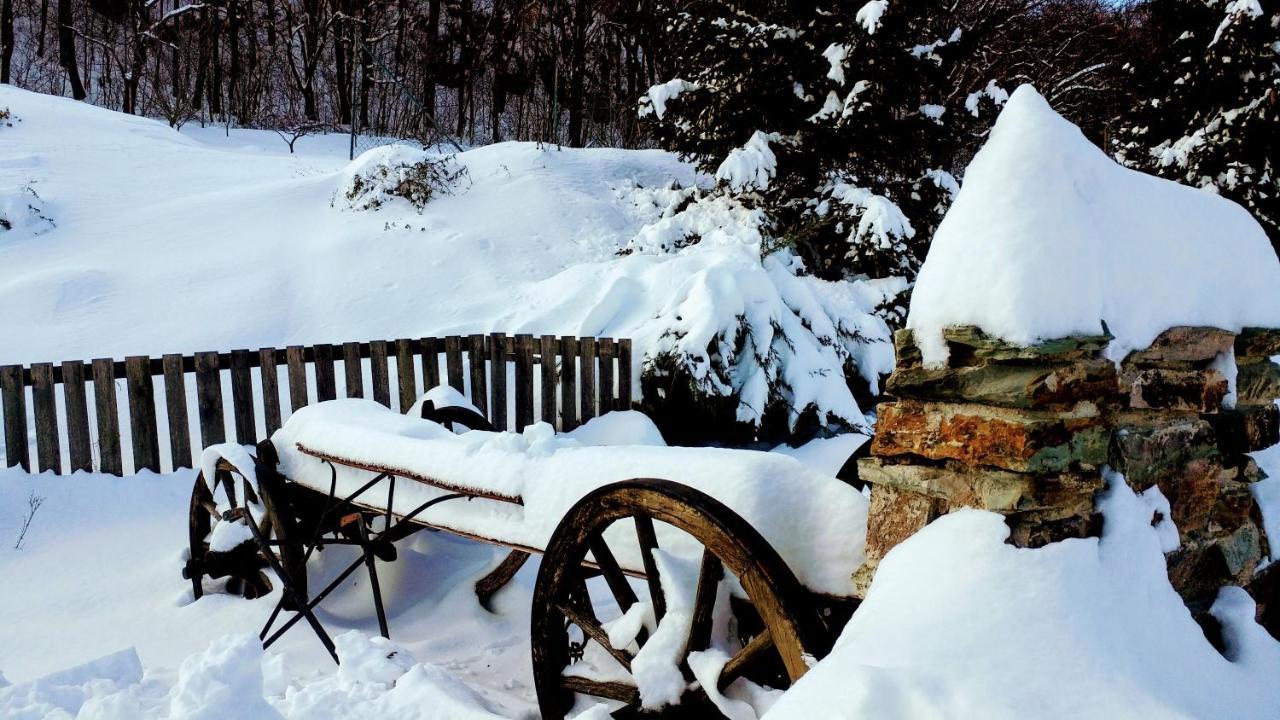 Pod Hradom Restaurant & Pension Topoľčany Εξωτερικό φωτογραφία